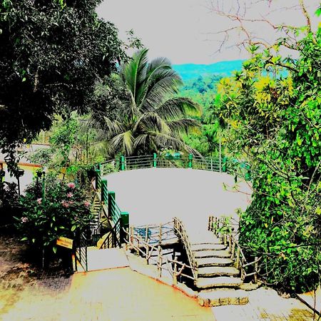 Rainforest Lodge, Deniyaya Singheraja Eksteriør bilde