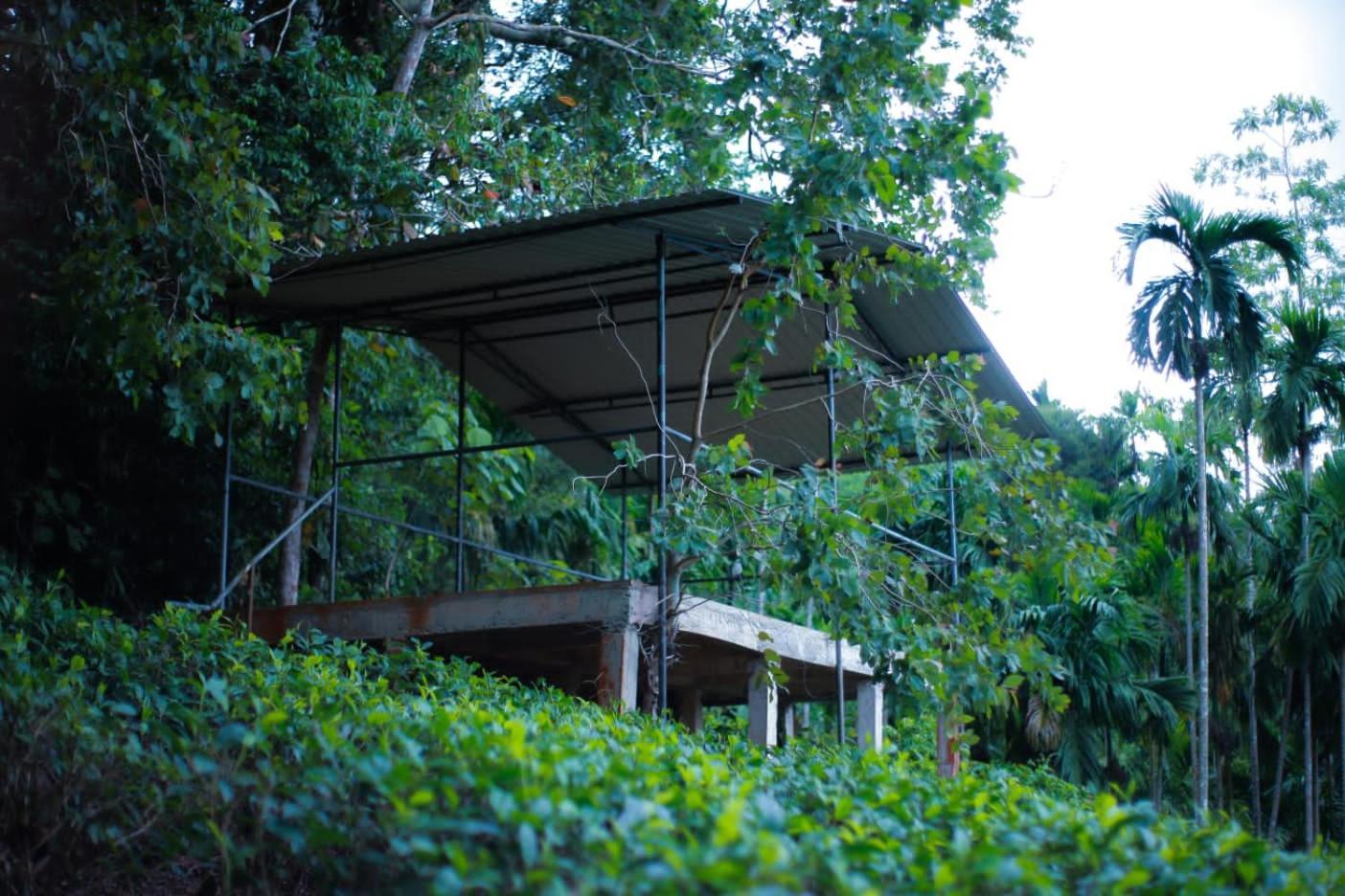 Rainforest Lodge, Deniyaya Singheraja Eksteriør bilde