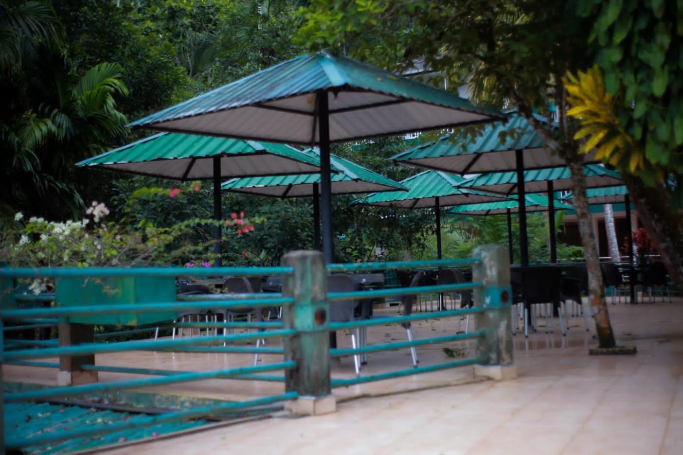 Rainforest Lodge, Deniyaya Singheraja Eksteriør bilde
