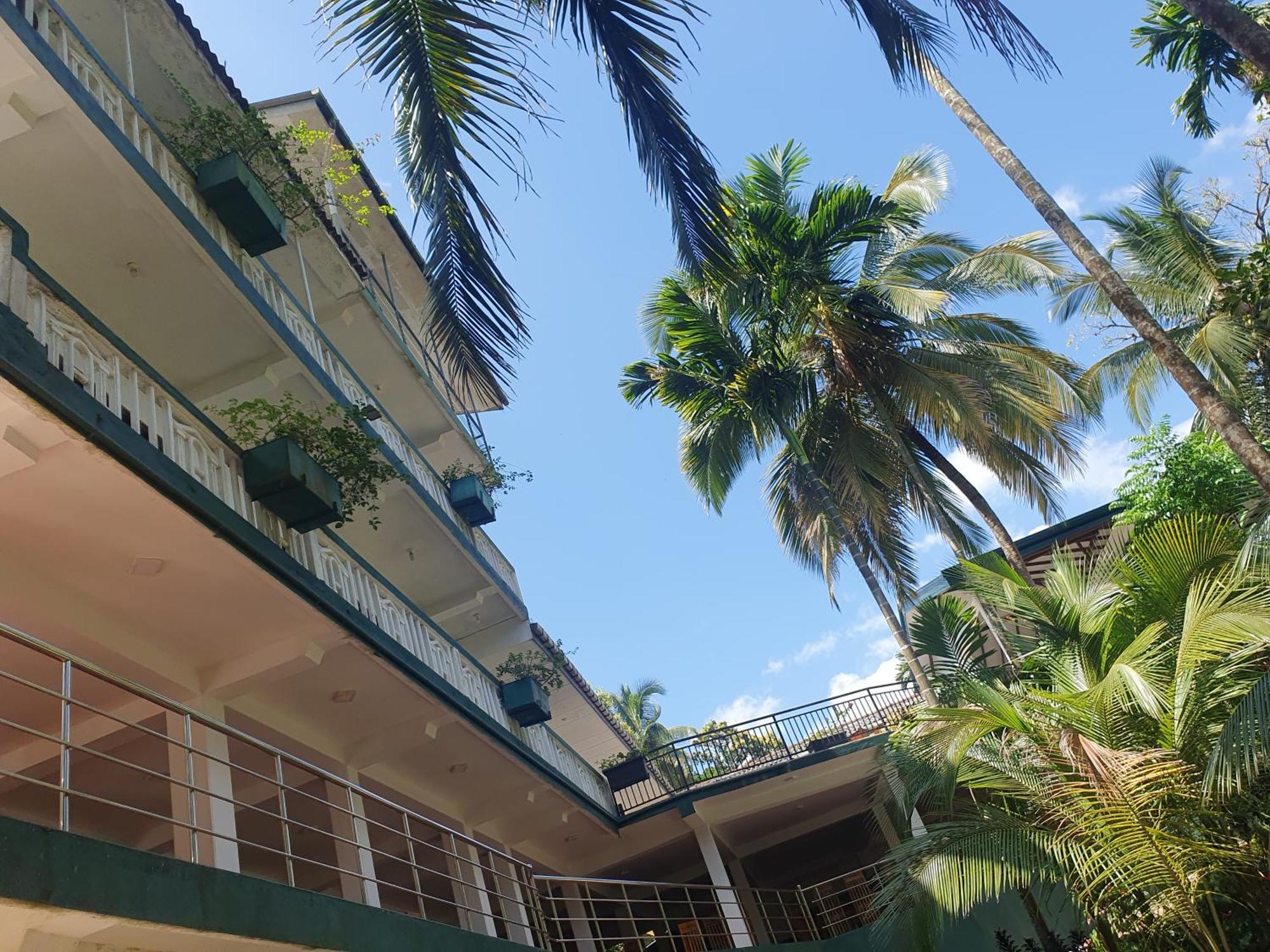 Rainforest Lodge, Deniyaya Singheraja Eksteriør bilde