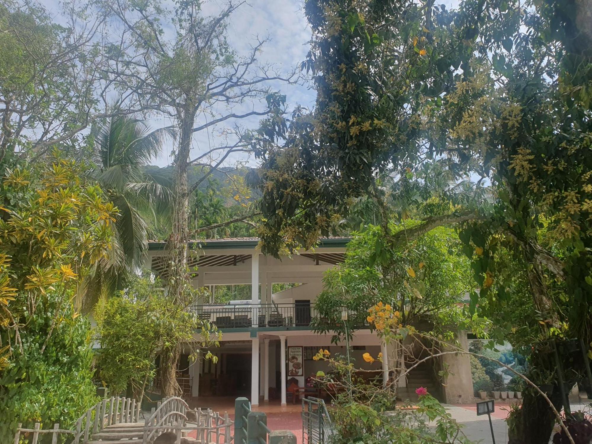 Rainforest Lodge, Deniyaya Singheraja Eksteriør bilde