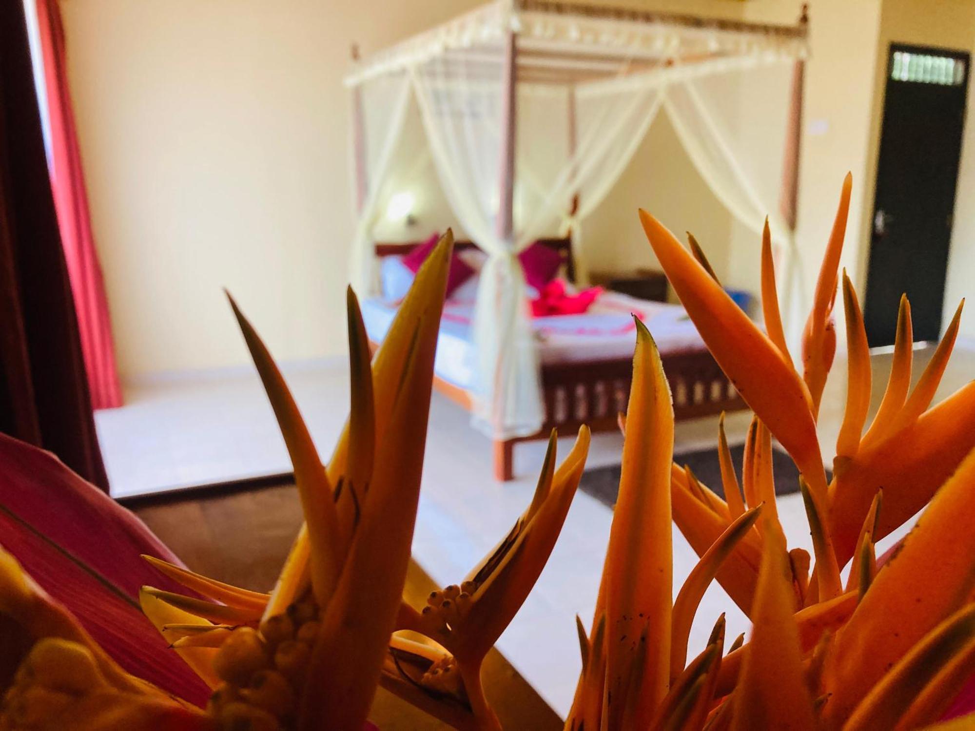 Rainforest Lodge, Deniyaya Singheraja Eksteriør bilde