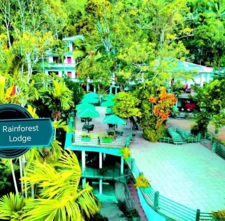 Rainforest Lodge, Deniyaya Singheraja Eksteriør bilde